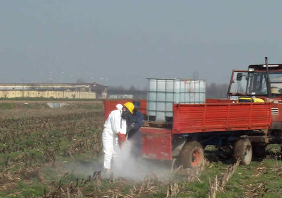 Calcio (BG) - Sito contaminato da PCB (contaminazione della matrice alimentare)